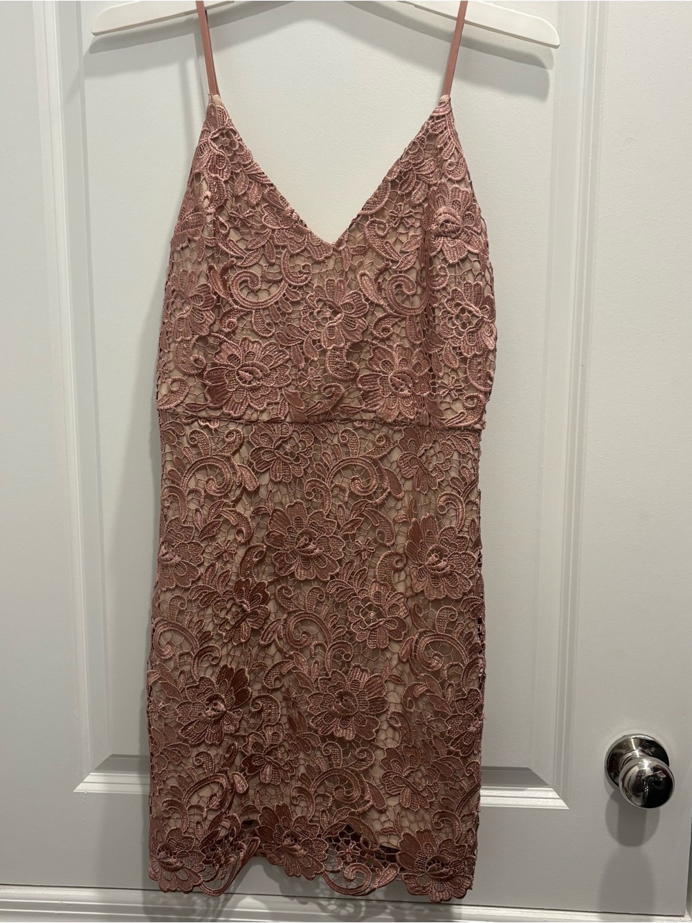 Express Dusty Rose Lace Mini Dress